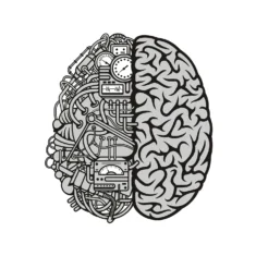 Tribal Knowledge Brain